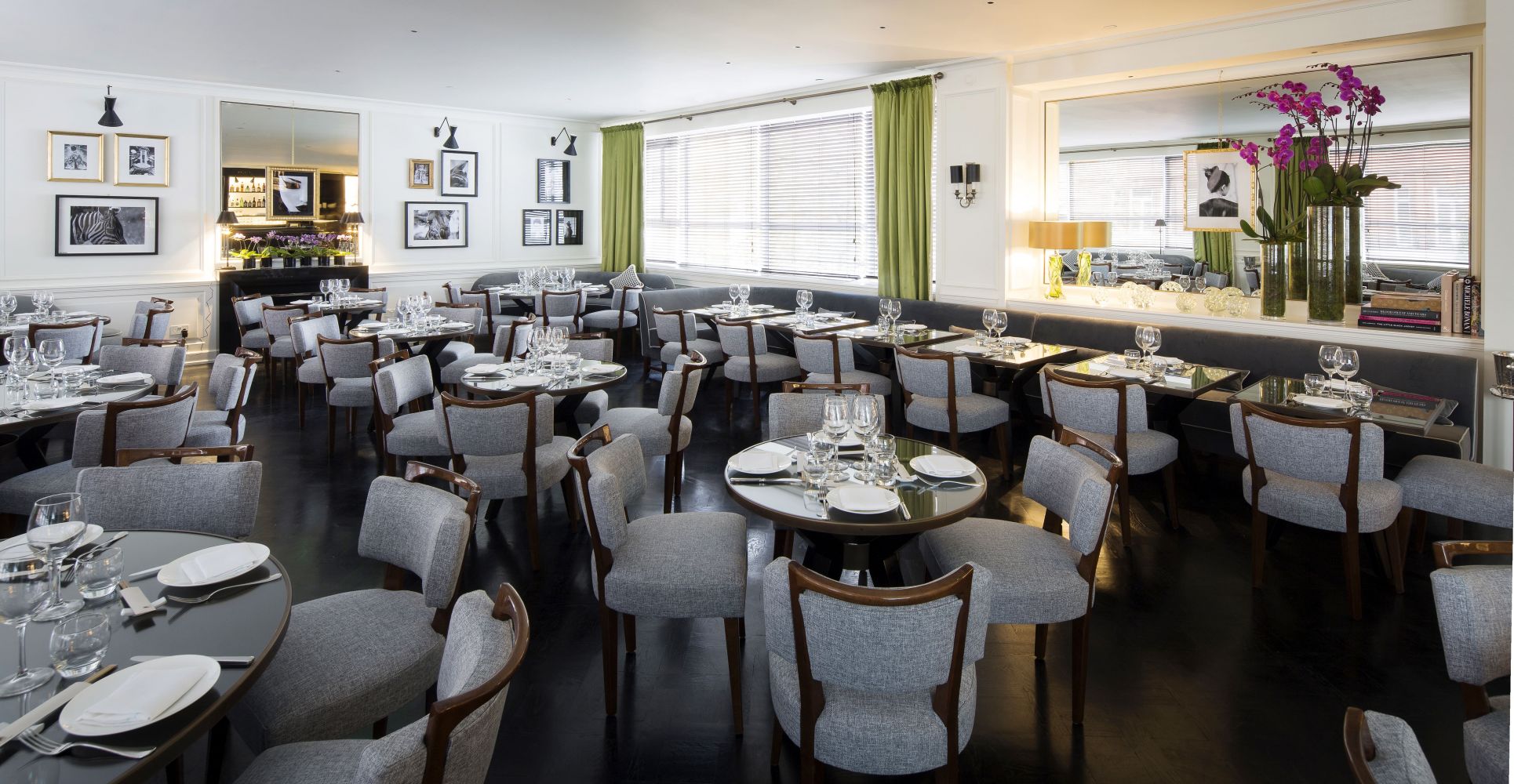 SUMOSAN TWIGA LONDRA